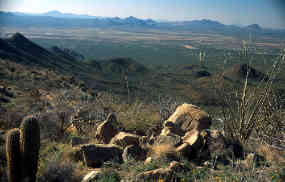 A view over the Ironwood Forest National Monument
